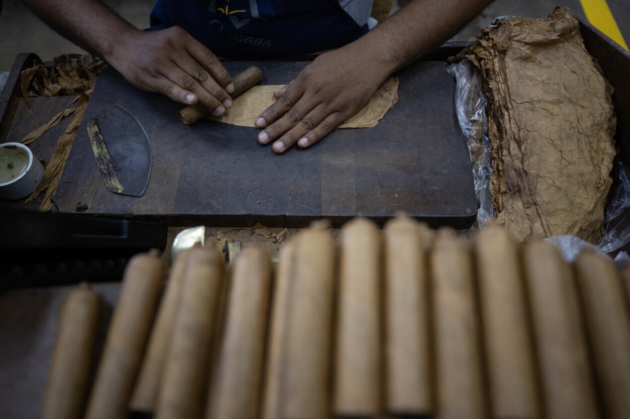Tabaco de República Dominicana: tradición y éxito económico en exportaciones crecientes