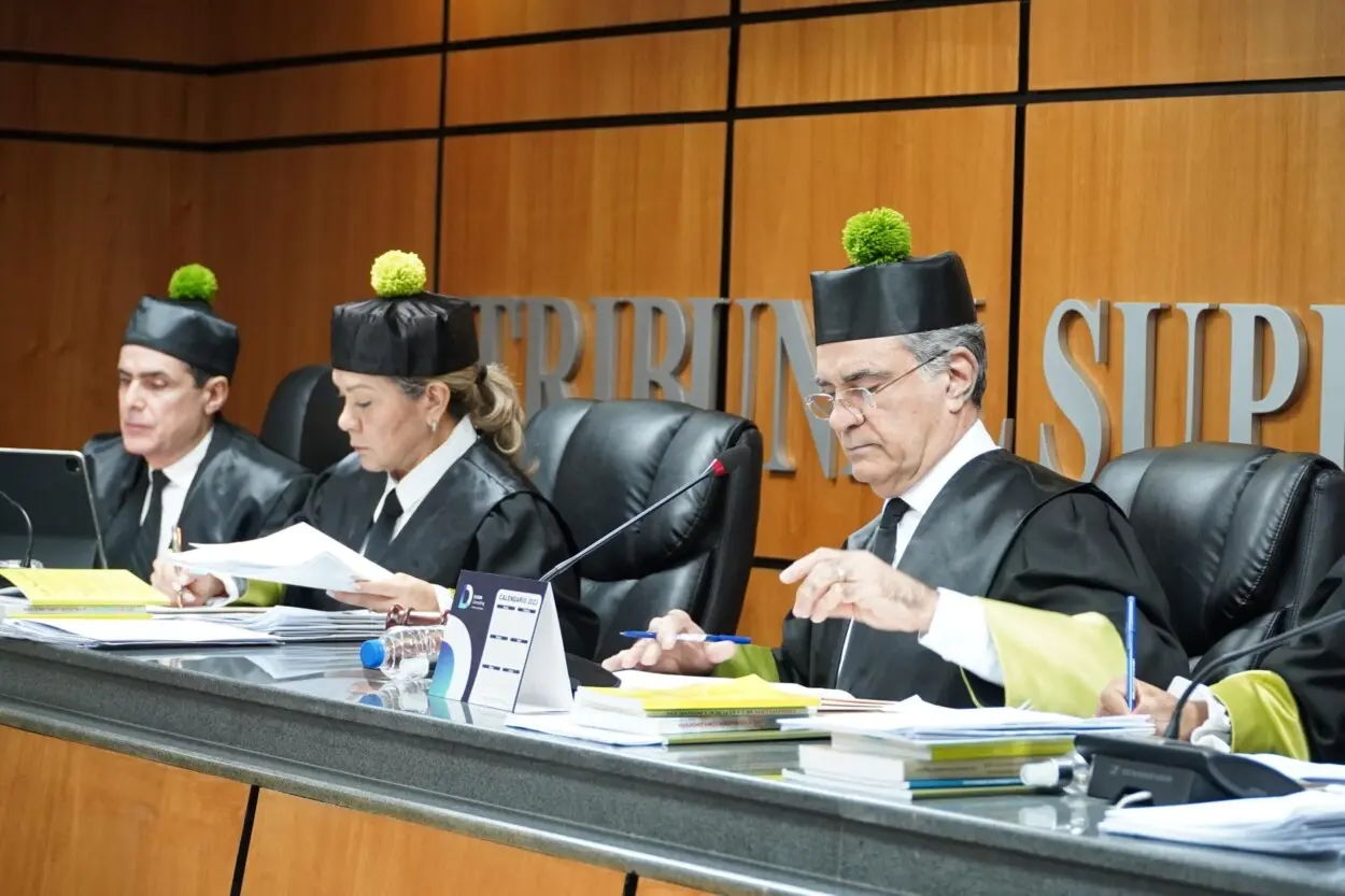 TSE conocerá recurso contra Fuerza del Pueblo