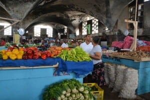 Día Mundial de la Agricultura: Crisis y aumento de precios alarmantes