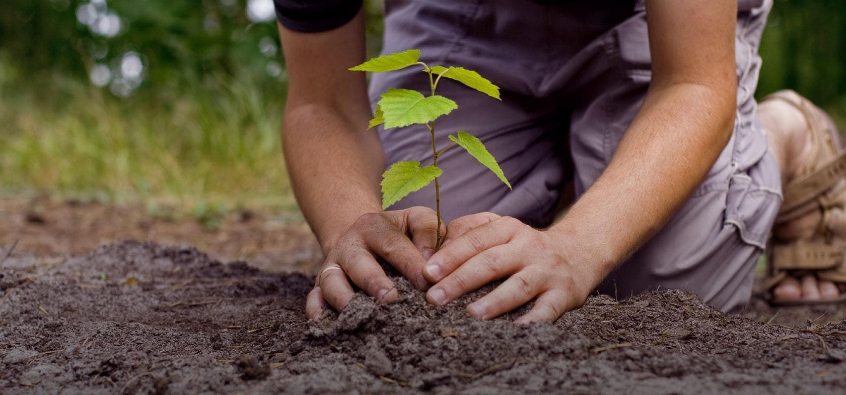 ¿Sabías que plantar árboles reduce la ansiedad en solo 90 minutos?