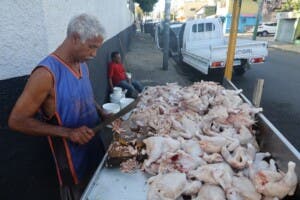 Pollo fresco: ¿por qué varían tanto los precios en  barrios? Hoy se vende hasta a $110.00 la libra