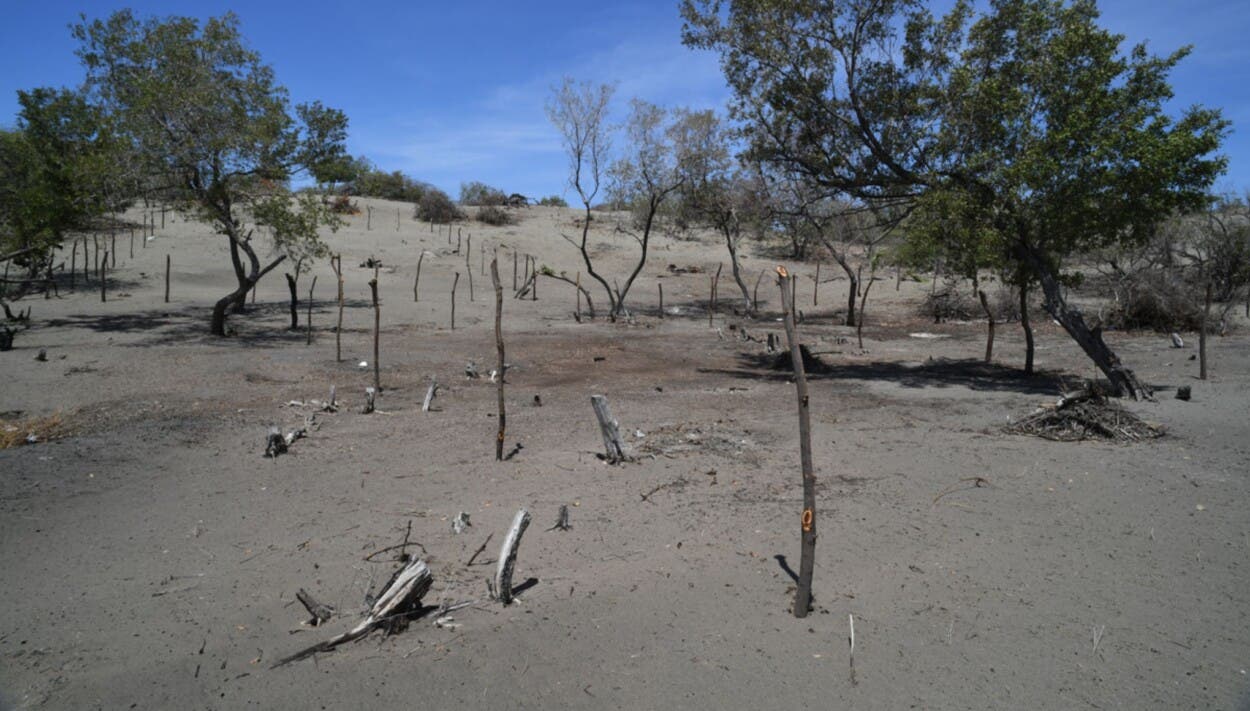 Dunas de Baní bajo asedio otra vez, víctimas de codicia