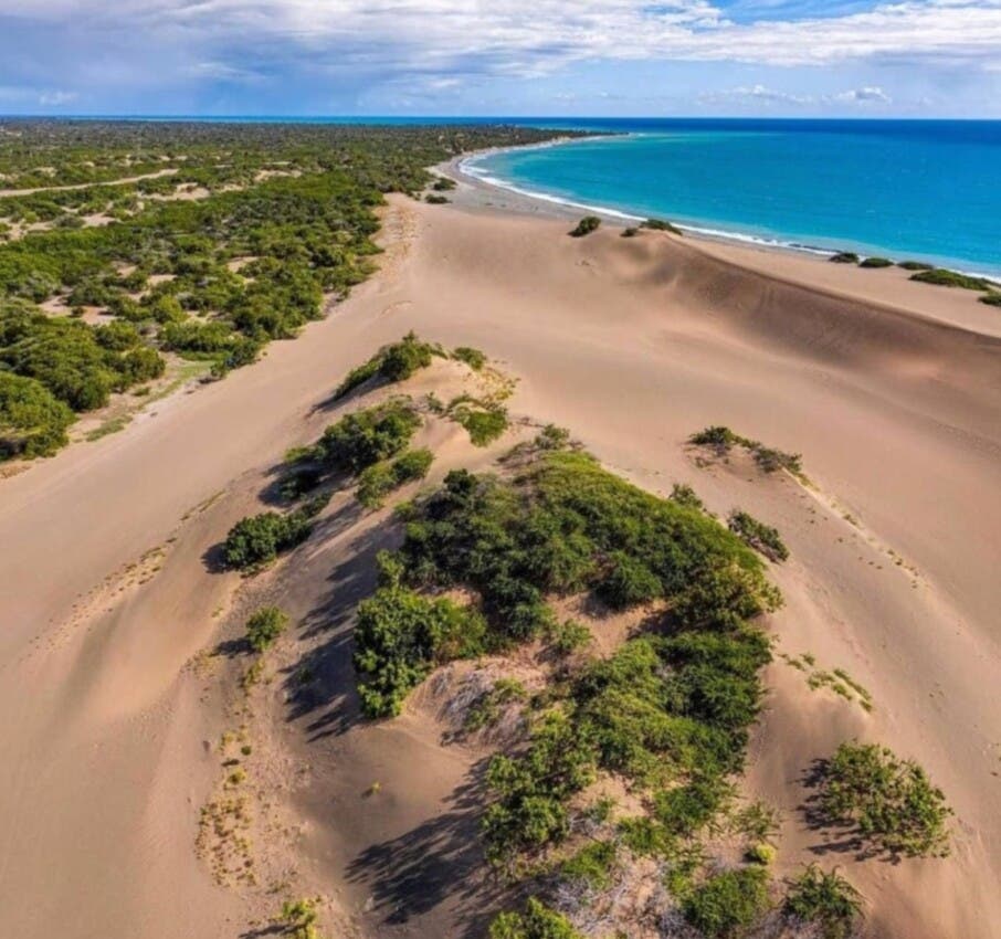 Las Dunas de Baní, un bien natural codiciado, enfrentan amenazas de corrupción y explotación