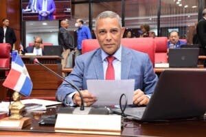 Romero: “La violencia no es responsabilidad exclusiva de la Policía”