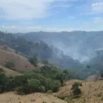 Se activan los incendios forestales y Medio Ambiente pide a la población colaboración  