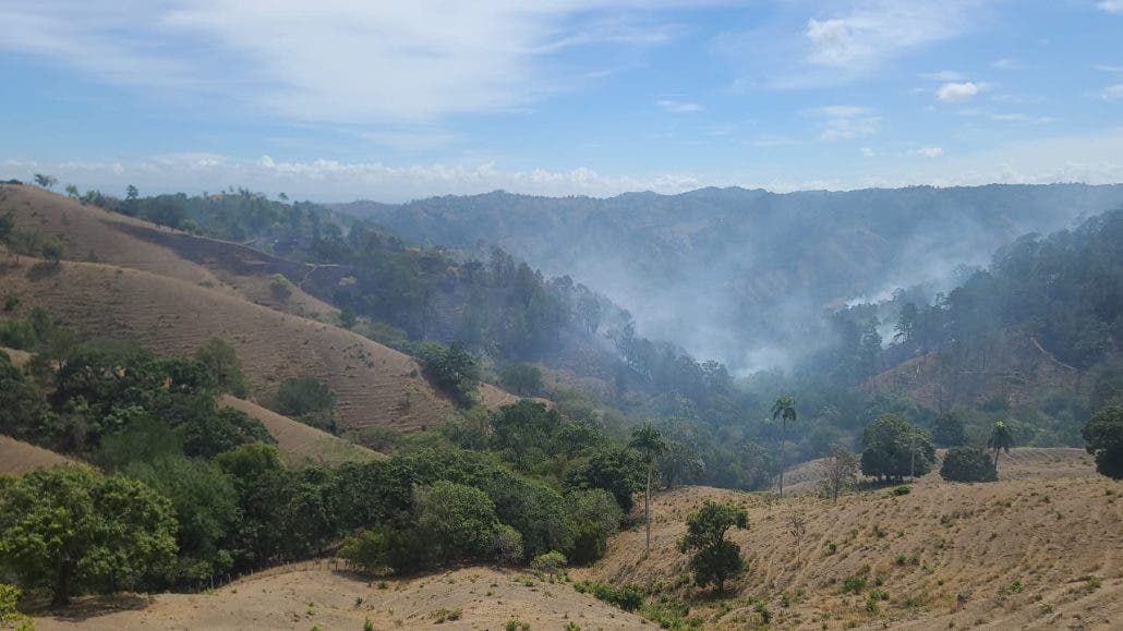 Se activan los incendios forestales y Medio Ambiente pide a la población colaboración  