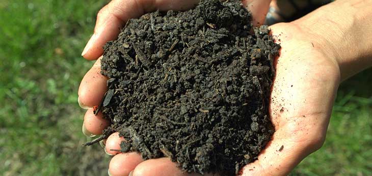 Podrán convertir cadáveres en abono para la tierra