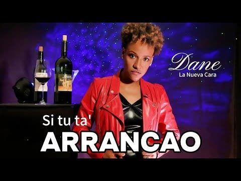 Dane inició su camino artístico en 2006-2007 con un tema urbano, género con el que siempre se sintió identificada. 
