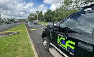 Masacre en Puerto Rico: Dominicano identificado entre las víctimas