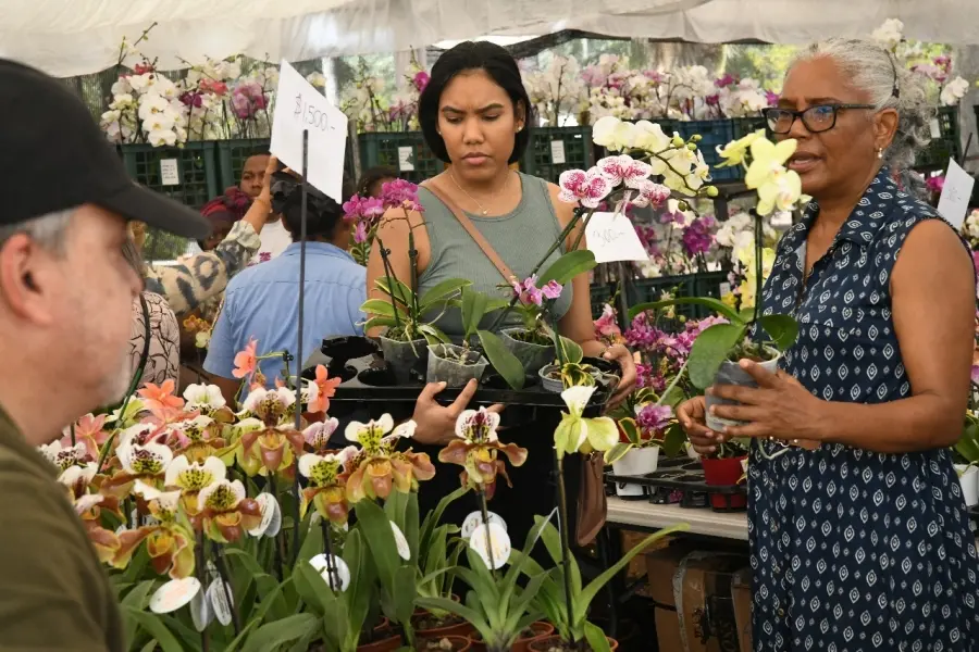 Todo listo en el Jardín Botánico Nacional para el Festival de Plantas y Flores