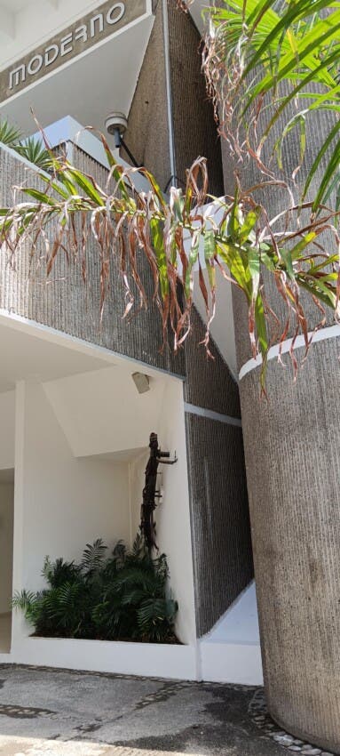 Palma que ganó la categoría Escultura en la Bienal de Artes Visuales 2025.