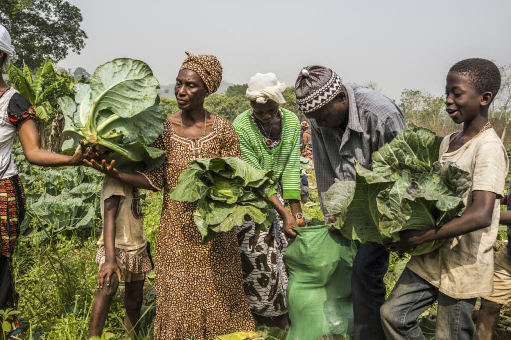 Día Mundial de la Alimentación: La FAO insta a unir fuerzas para un futuro mejor