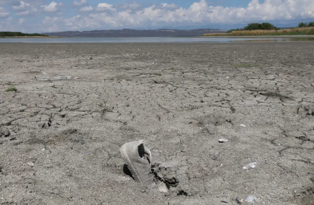 La Laguna de Rincón, en Cabral enfrenta una de sus peores crisis ambientales: la sequía ha reducido drásticamente su caudal y ha dejado miles de peces muertos, una escena que retrata el impacto devastador sobre el ecosistema. / Foto: Chaimy Soriano