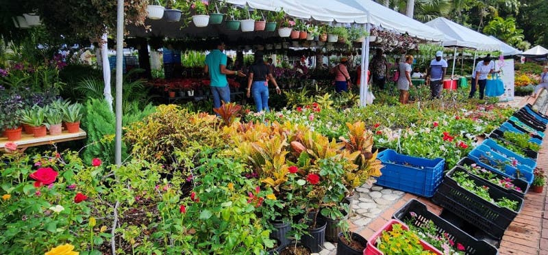 Todo listo en el Jardín Botánico Nacional para el Festival de Plantas y Flores