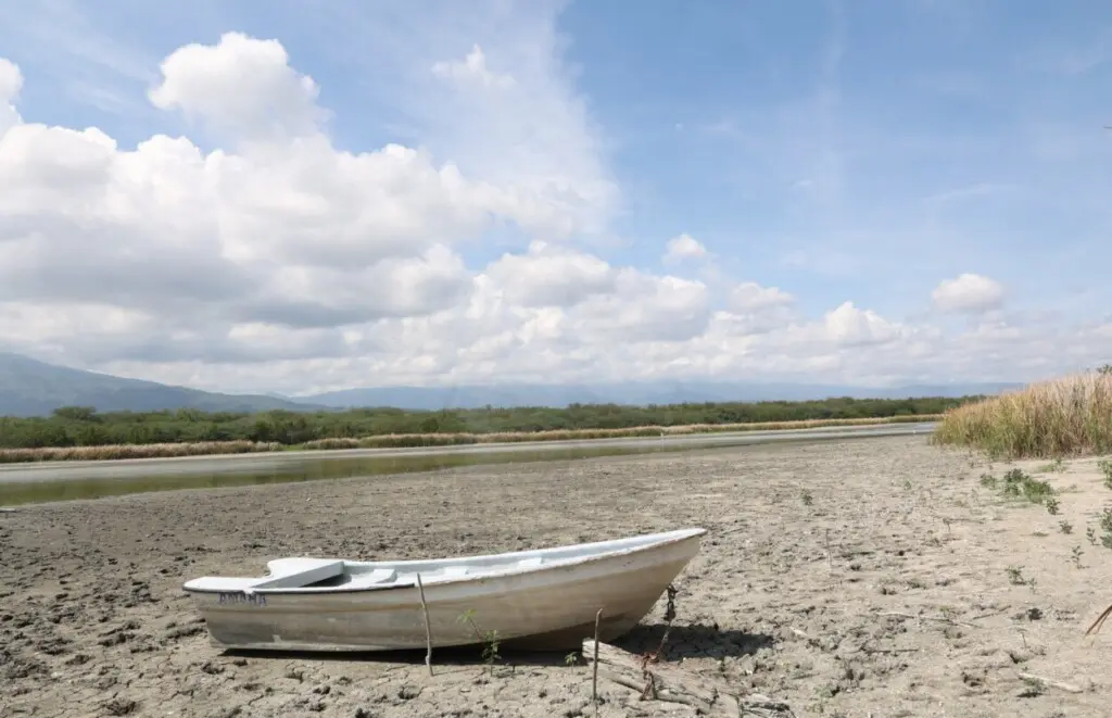Es imposible no conmoverse ante esta imagen que refleja el grave daño ambiental en la Laguna de Rincón en Cabral, donde la sequía ha dejado miles de peces muertos sobre el terreno reseco. / Foto: Chaimy Soriano