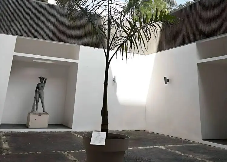 Cultura anula premio de la Bienal Nacional a palma: ¿Por qué?