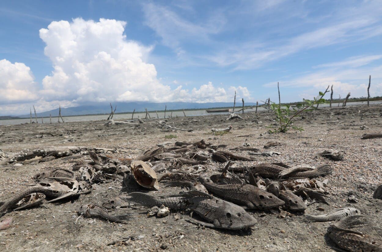 Pescadores amenazan con «tomar medidas drásticas» ante el daño ambiental en la Laguna de Rincón
