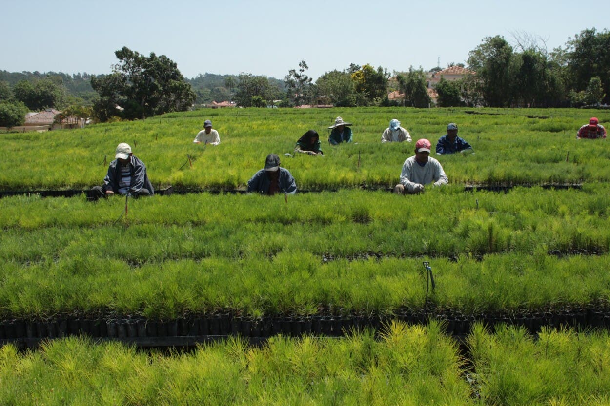 Productores y agroindustrias recibirán la Medalla de Honor al Mérito de la ADHA
