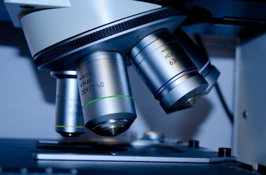 ¿Qué es la tolerancia inmunológica periférica, secreto del Nobel de Medicina?