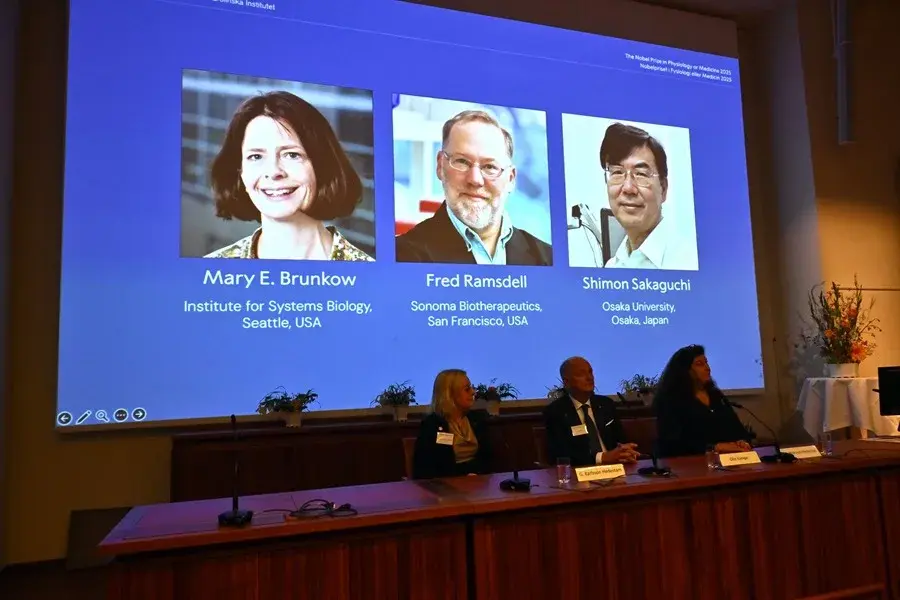 ¿Qué es la tolerancia inmunológica periférica, clave Nobel de Medicina?