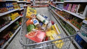 Ultraprocesados, bajo la lupa: estudio asocia su consumo con más riesgo de cáncer en jóvenes