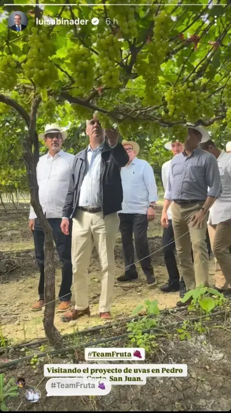 ¿Se unió Abinader al “Team Fruta”? El presidente usa hashtag que da de qué hablar