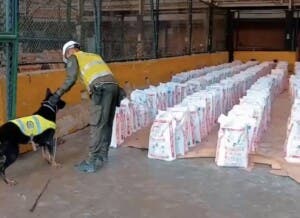 Golpe maestro: 14 toneladas de cocaína decomisadas en Colombia