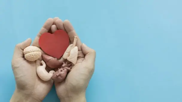 El 70% de las familias dominicanas se niegan a donar órganos, según el INCORT