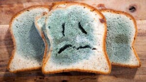 Consejos efectivos para eliminar el moho de tu hogar y prevenir su aparición