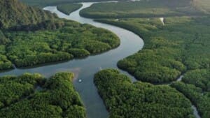 BID emite su primer Bono Amazonía de 100 millones de dólares para proyectos sostenibles