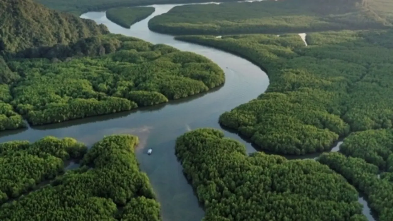 BID emite su primer Bono Amazonía de 100 millones de dólares para proyectos sostenibles