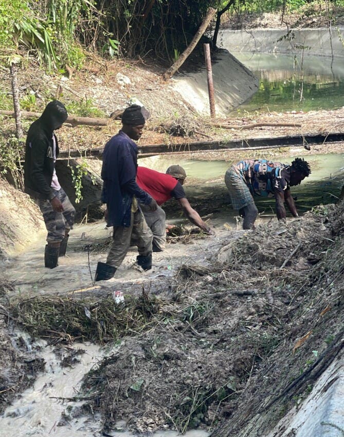 Crisis en el Valle de Juancho: Producción de plátano en riesgo por daños en el canal Nizaito tras la tormenta Melissa