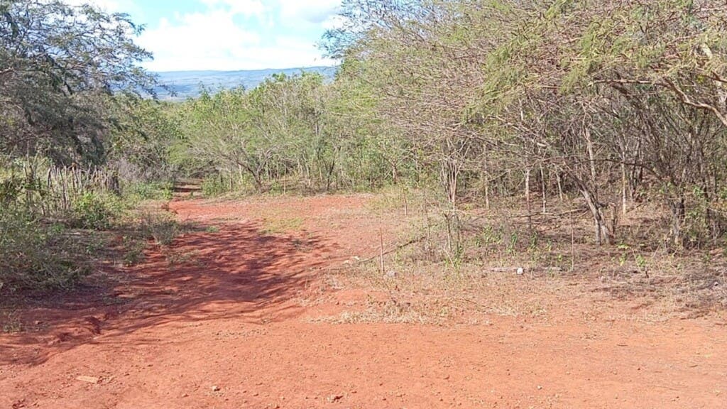 La titulación pendiente frena inversiones en Pedernales por lo que reclaman solución urgente del Gobierno