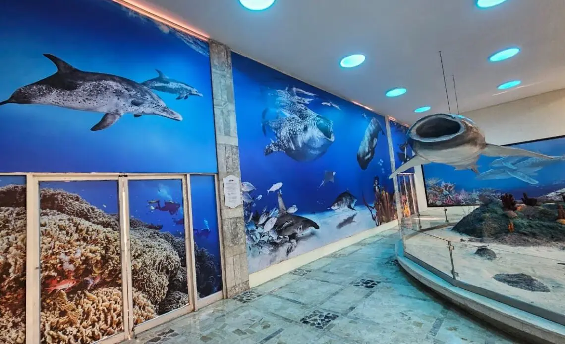 Museo Nacional de Historia Natural presenta mural e inaugura exposición fotográfica Fotomar