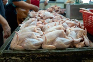 El precio del pollo se mantiene alto: consumidores se quejan
