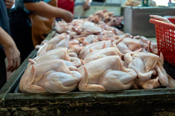 El precio del pollo se mantiene alto: consumidores se quejan