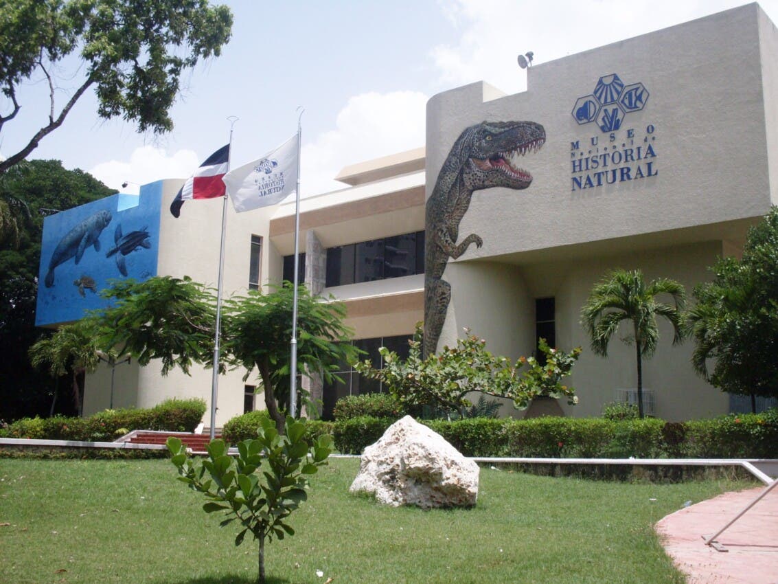 Museo en Juego: Noche de trivia y karaoke en el Museo de Historia Natural