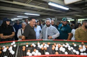 Claves para una producción avícola eficiente: Sanut impulsa formación técnica