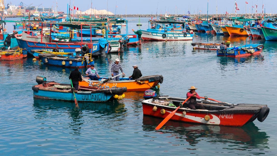 Ecosistemas marinos en riesgo: el impacto de ‘El Niño’ y ‘La Niña’