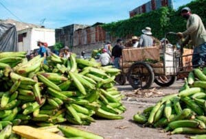 Banco Central dice inflación de noviembre fue 0.71 %