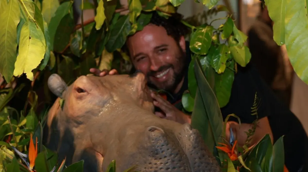 Resumen 2025: El cine se miró al espejo y se reconoció