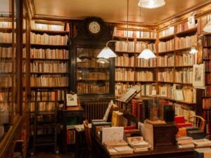 Las memorias de Gisèlle Pelicot, Liza Minelli y Stallone, en un 2026 para todos los gustos   