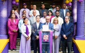 PLD acusa al Gobierno de “dañar la Navidad” en República Dominicana