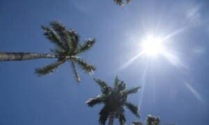 Prepárate para un domingo soleado y algunas lluvias ligeras