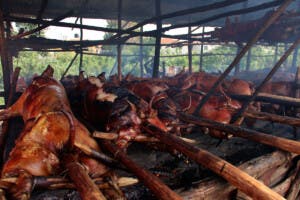 Pro Consumidor inicia operativos para asegurar alimentos en Navidad