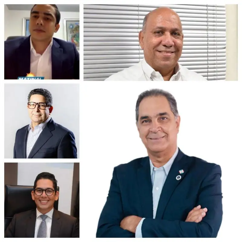 En el expediente figuran como acusados Santiago Hazim Albainy, exdirector de Senasa; Germán Rafael Robles Quiñones; Francisco Iván Minaya Pérez; Eduardo Read Estrella; Cinty Acosta Sención; Ramón Alan Speakler Mateo y Ada Ledesma Ubiera.