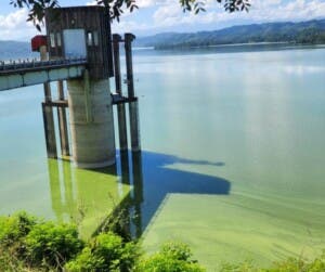¿Por qué el agua de la presa de Hatillo se volvió verde olivo? Crece preocupación en Cotuí