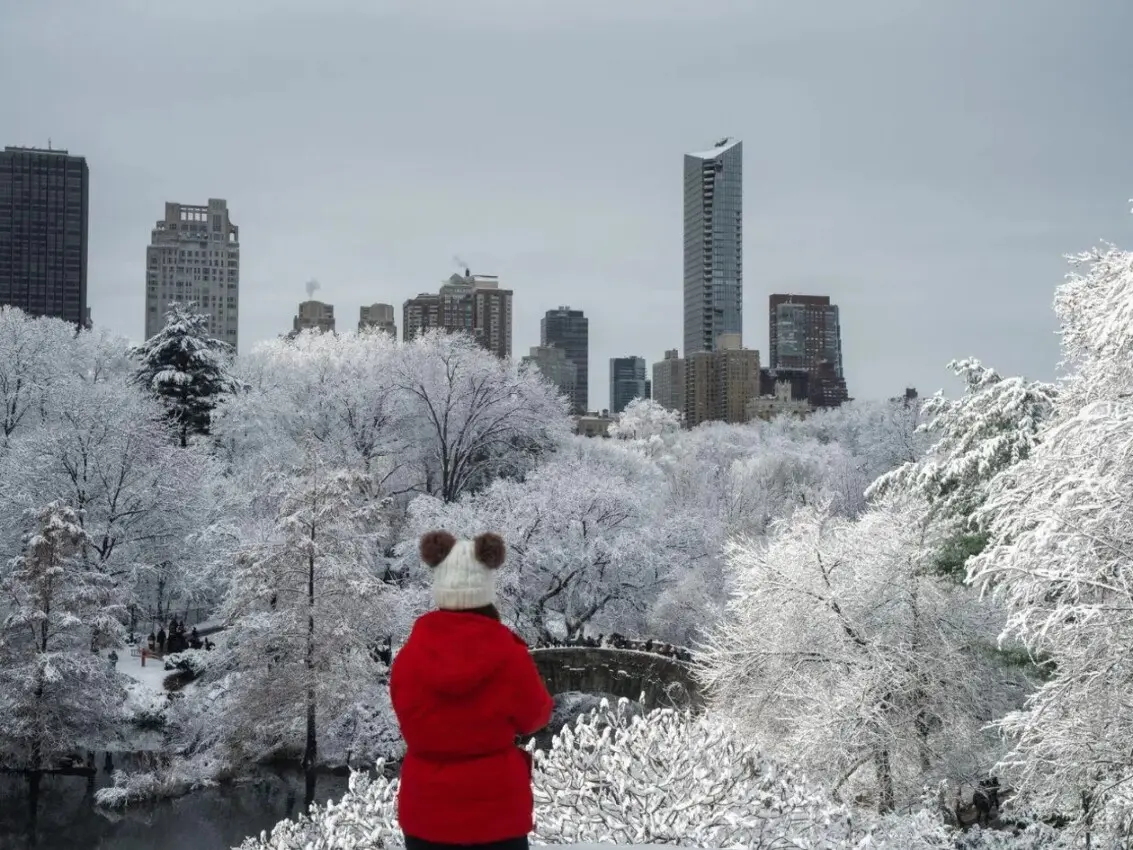 Nueva York y estados vecinos vestidos de blanco ante primera gran tormenta invernal
