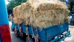 Ejército ocupa 280 mil cigarrillos en Montecristi