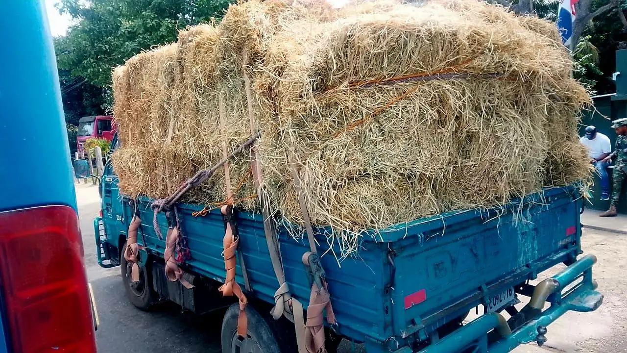 Ejército ocupa 280 mil cigarrillos en Montecristi